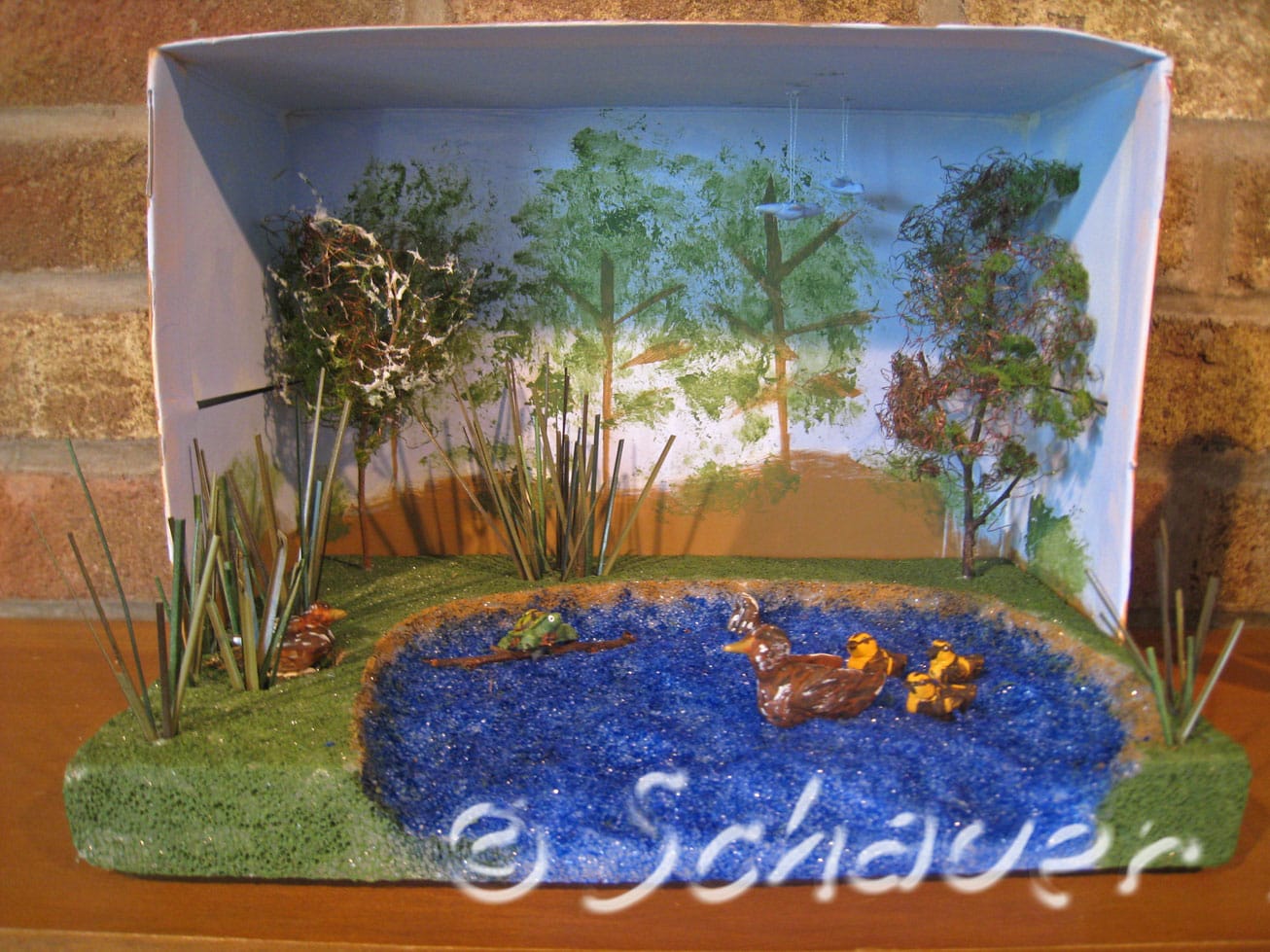 Thinking INSIDE the box-A duck habitat diorama. - Carla Schauer Designs