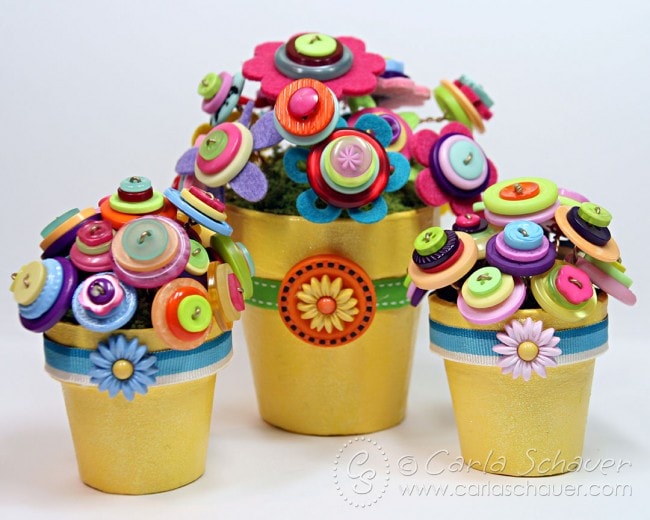 button flowers in yellow pots