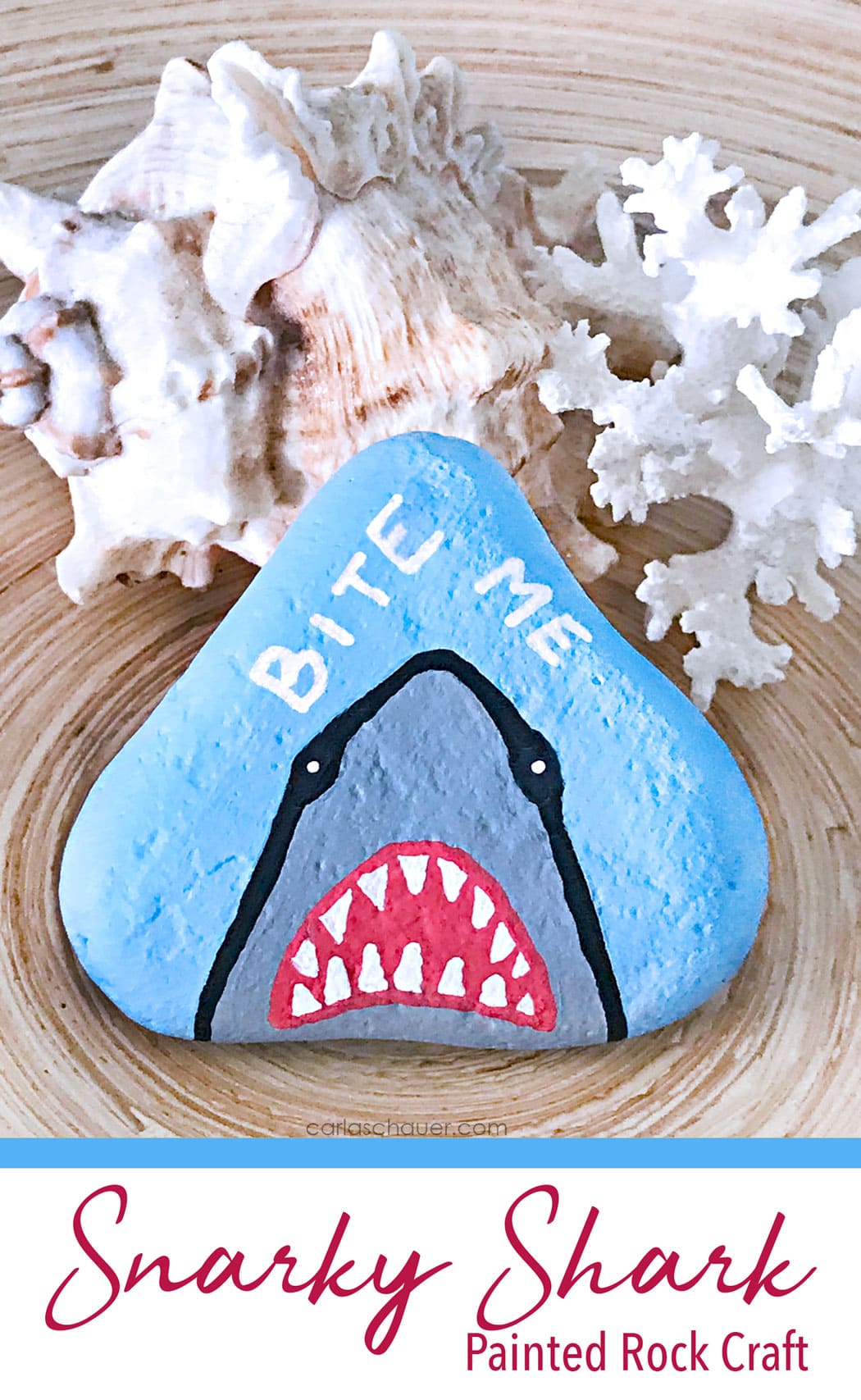 Shark Painted river stone with shells