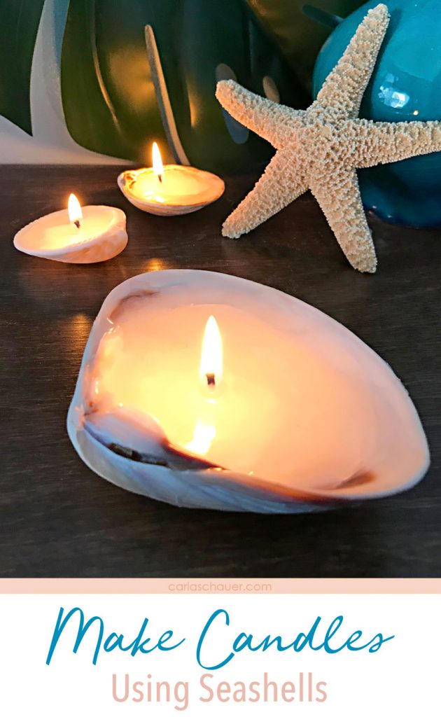 Make Candles in Seashells DIY Shell Decor Carla Schauer Designs