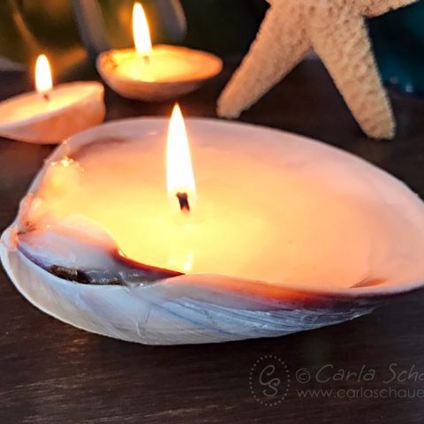 3 lit candles made from seashells with starfish in background.