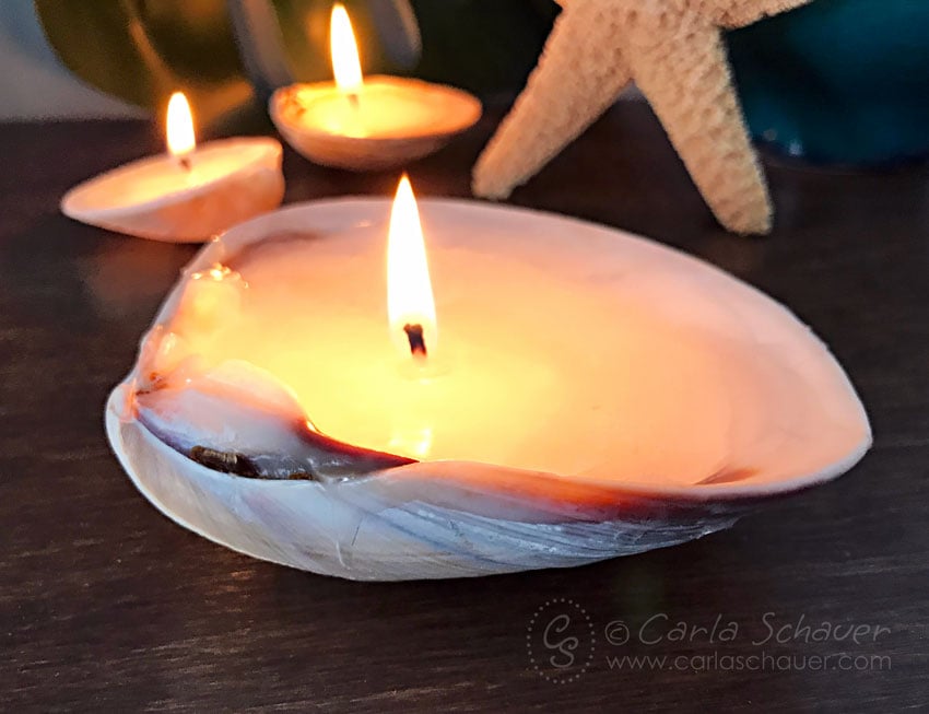 3 lit candles made from seashells with starfish in background.