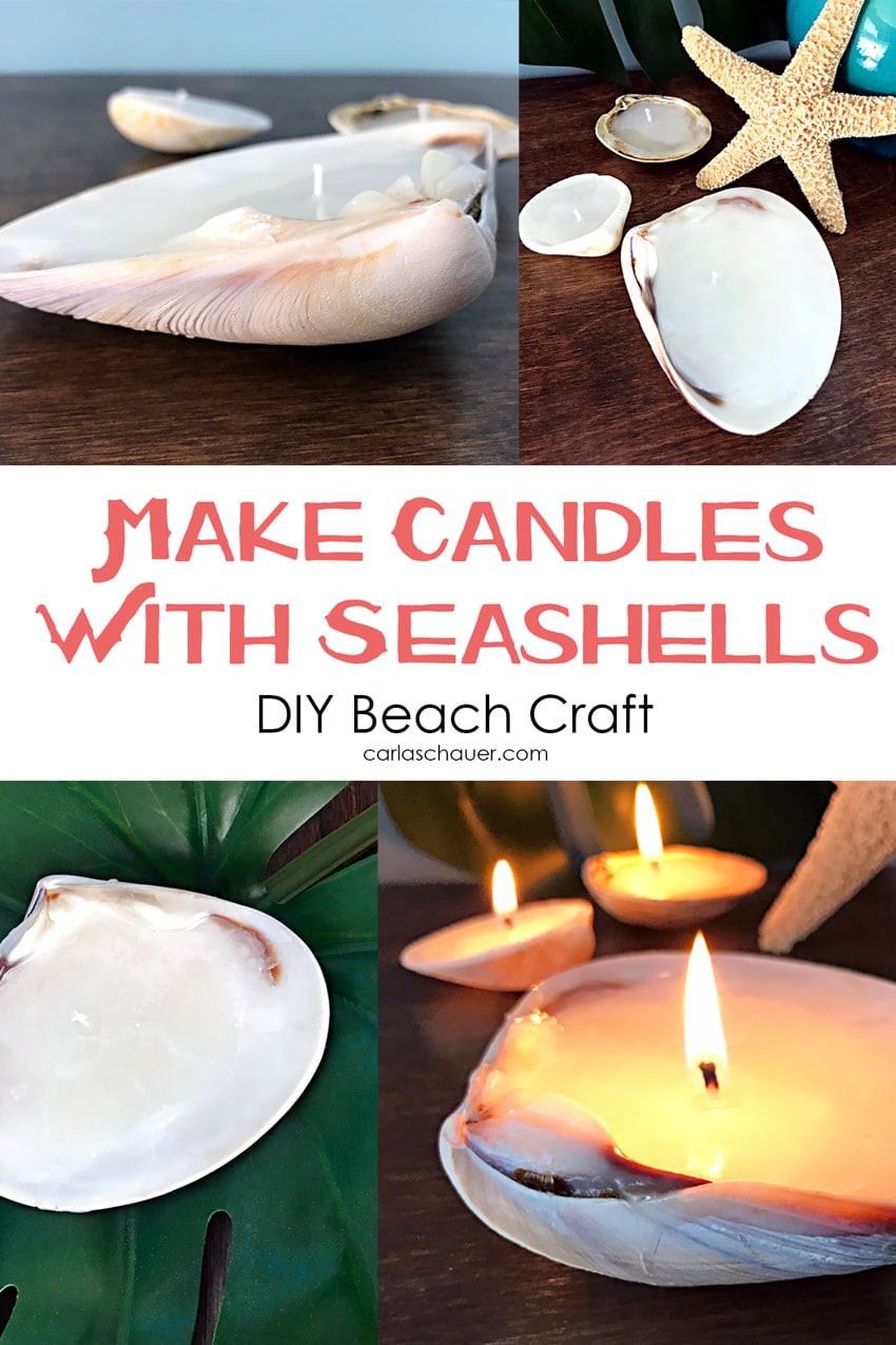 Make Candles in Seashells DIY Shell Decor Carla Schauer Designs