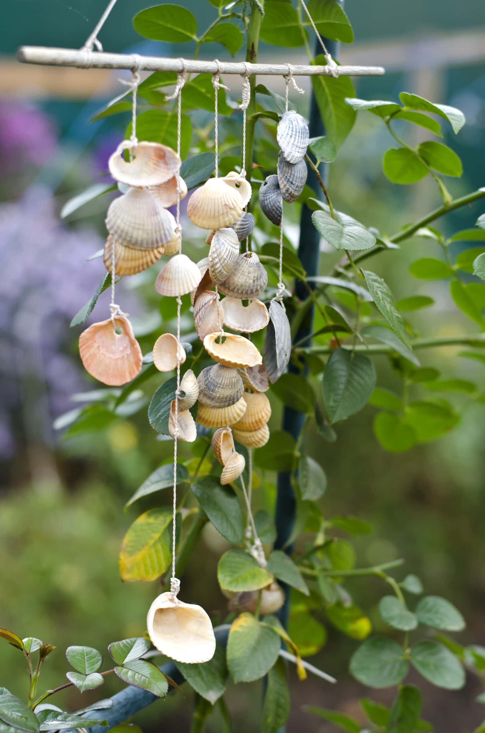 windchime mobile made from seashells and twine