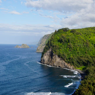 rock and greenery cliff overlooking ocean cove